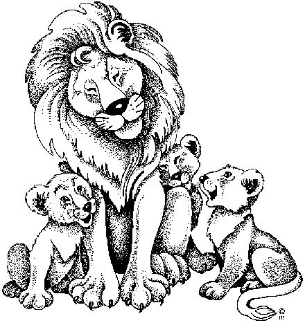 coloriage lions et les lionceaux